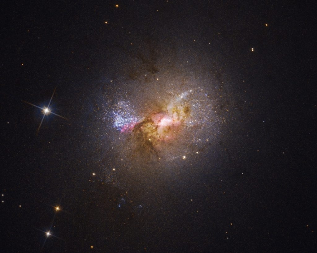 Dwarf starburst galaxy Henize 2-10 sparkles with young stars in this Hubble visible-light image. The bright region at the center, surrounded by pink clouds and dark dust lanes, indicates the location of the galaxy’s massive black hole and active stellar nurseries. Image credit: NASA, ESA, Zachary Schutte (XGI), Amy Reines (XGI), Alyssa Pagan (STScI)