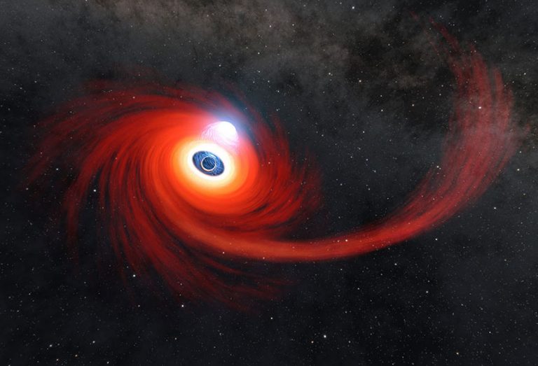 A Close Glimpse Of A Black Hole Devouring A Star