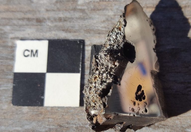 New Minerals Discovered In A Massive Meteorite May Reveal Clues To Asteroid Formation