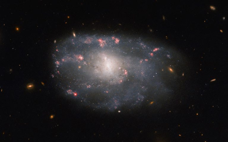 Hubble Spots A Star-Forming Spiral