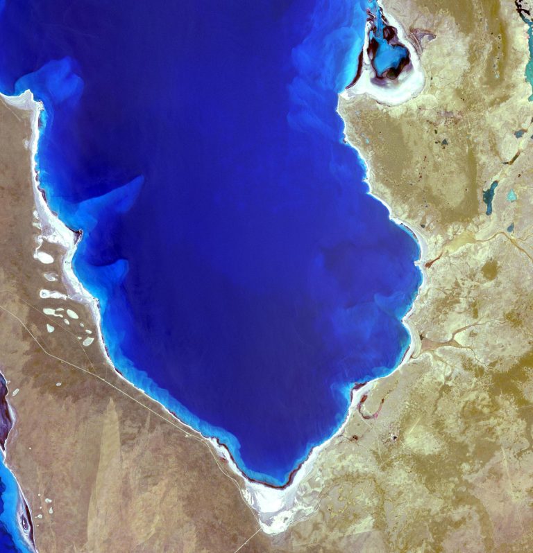 Terra Observes Shark Bay, Australia