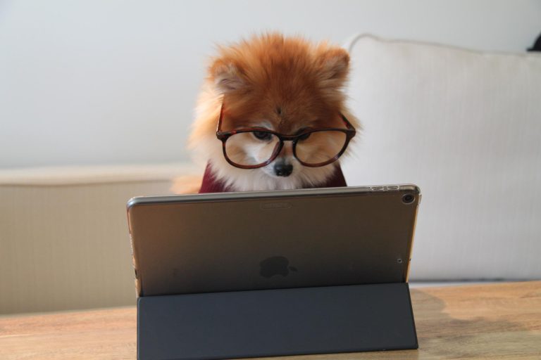 More Than Math – The Must-Have Non-Technical Skills for Data Pros