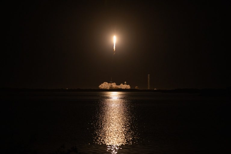Dragon Lights Up The Night