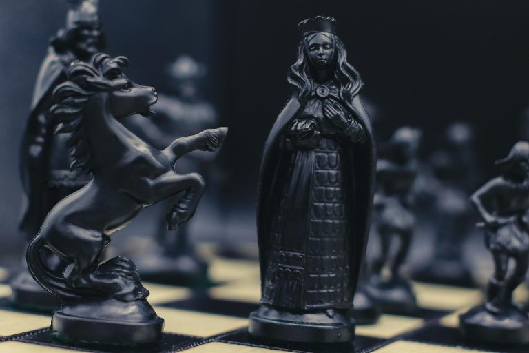 A Day In the Life of a Chess Player