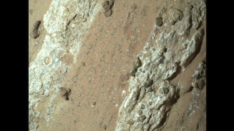 NASA’s Perseverance Rover Scientists Find Intriguing Mars Rock