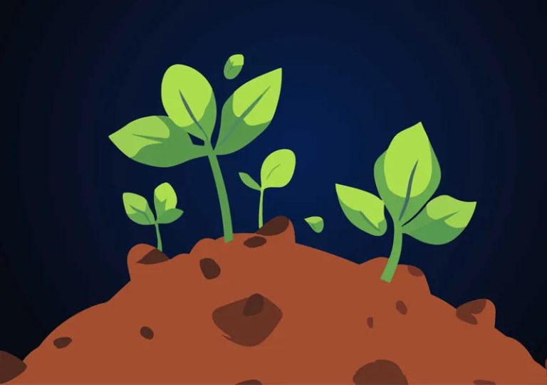 Is terraforming Mars possible?